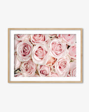 Pink Flowers Art Print