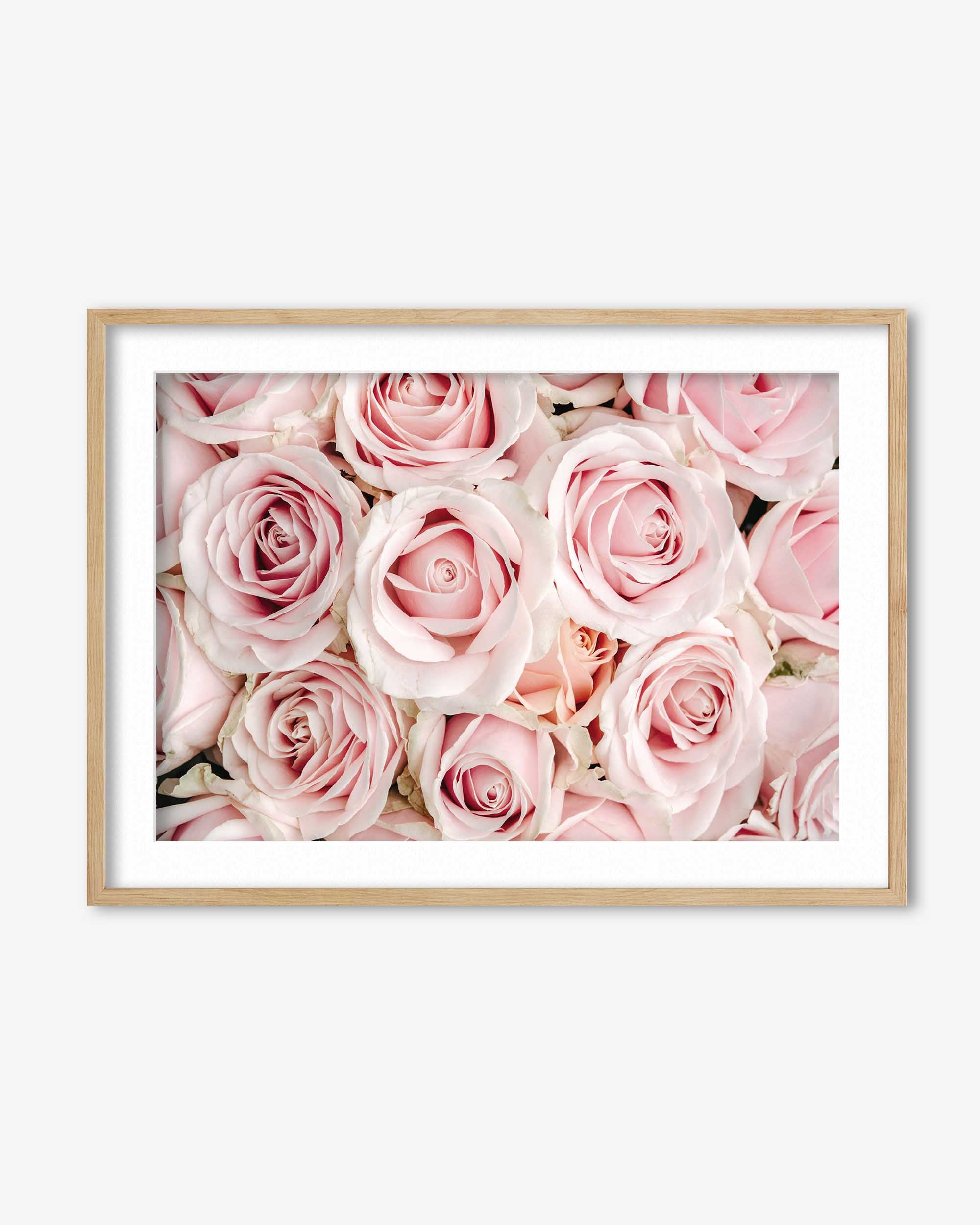 Framed print of pink roses on a white background
