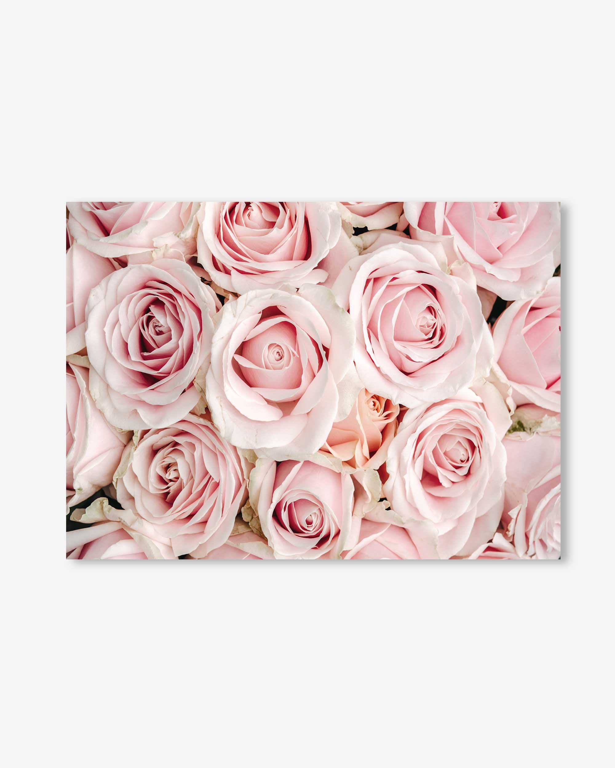 Pink Flowers Art Print
