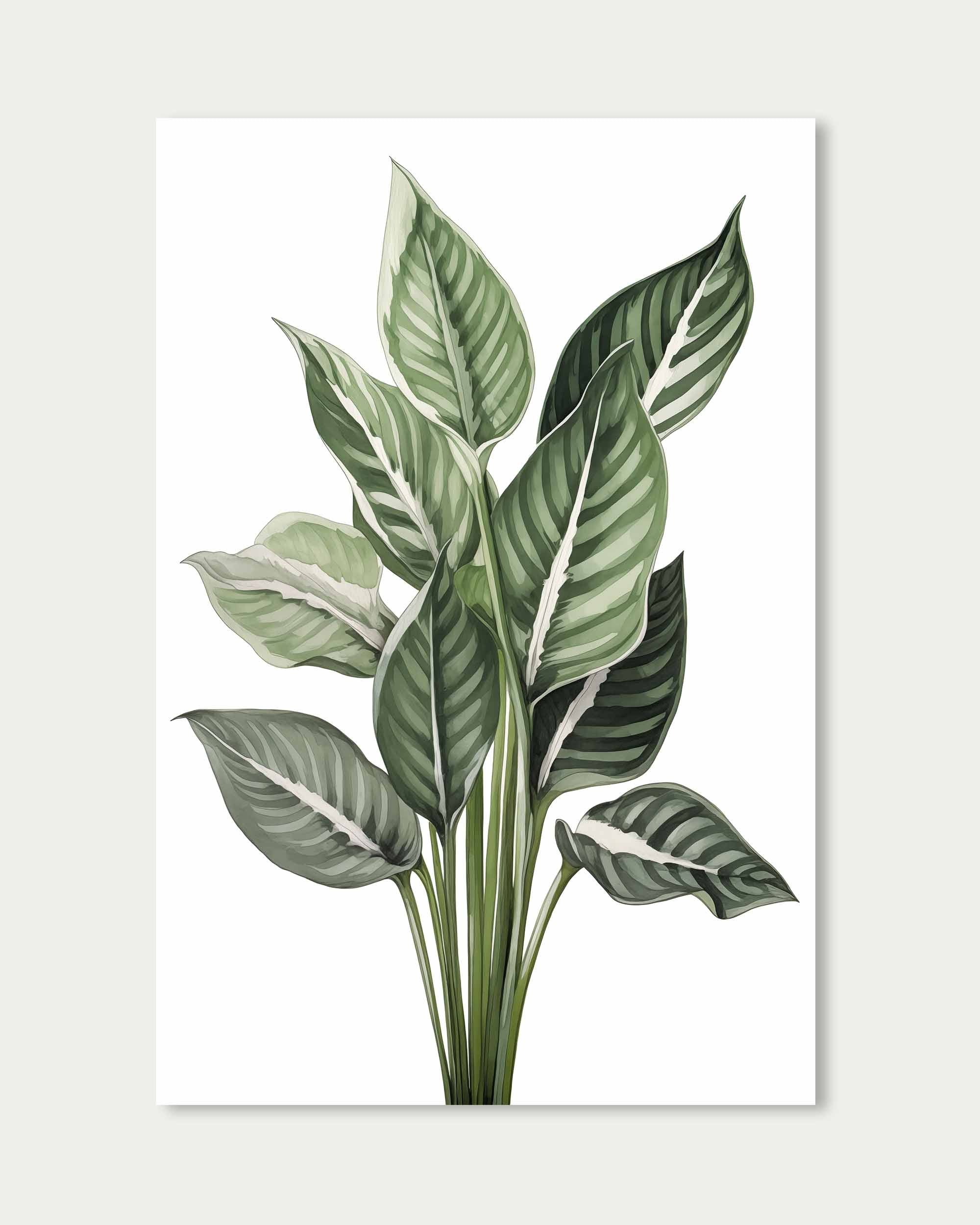 Botanica Wall Art Print