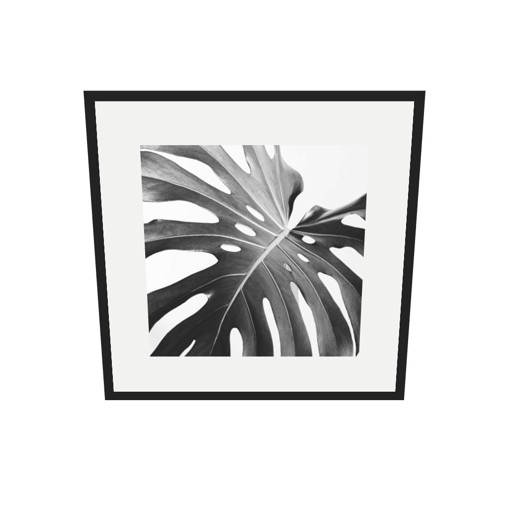 [ah-ar-v1:cf7df5e670fb989a4045484e] Black And White Monstera Wall Art Print — 70 x 70 cm, black frame (AR scale)