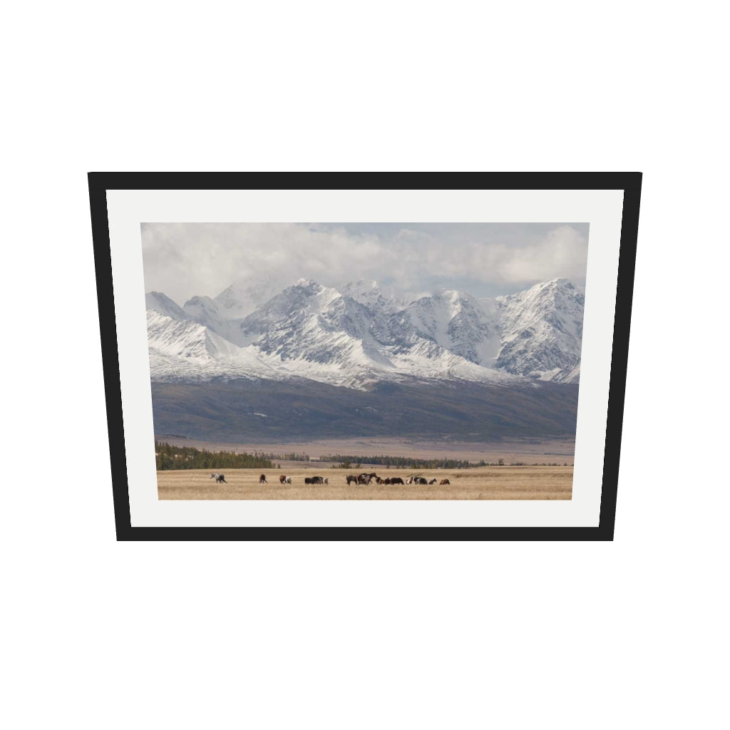 [ah-ar-v1:ff5e862a0542d246bc7ed533] Horses In A Field Art Print — 50 x 70 cm, black frame (AR scale)