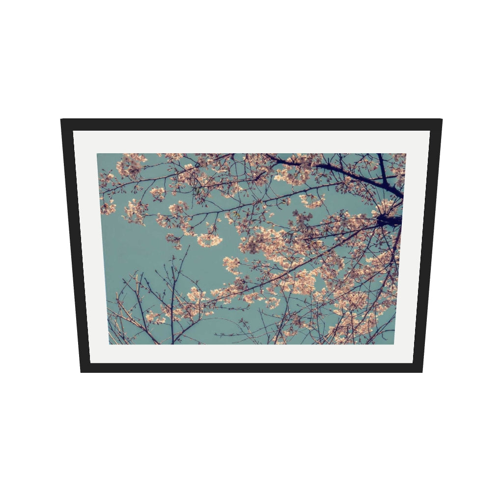 [ah-ar-v1:8a13b69f35fb6c72f477dbeb] Cherry Blossom Wall Art Print — 50 x 70 cm, black frame (AR scale)