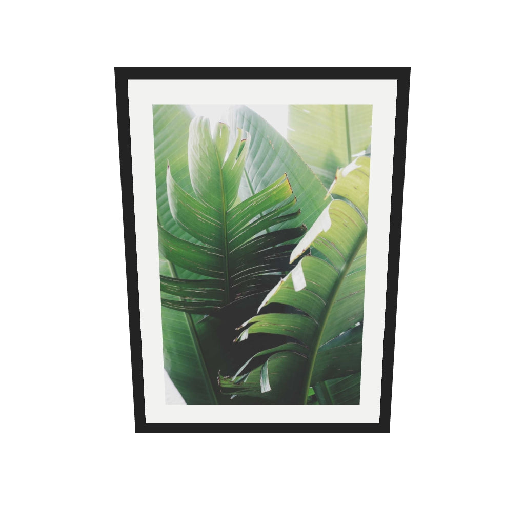 [ah-ar-v1:66711f497ebdffb551952056] Tropical Leaves Wall Art Print — 50 x 70 cm, black frame (AR scale)