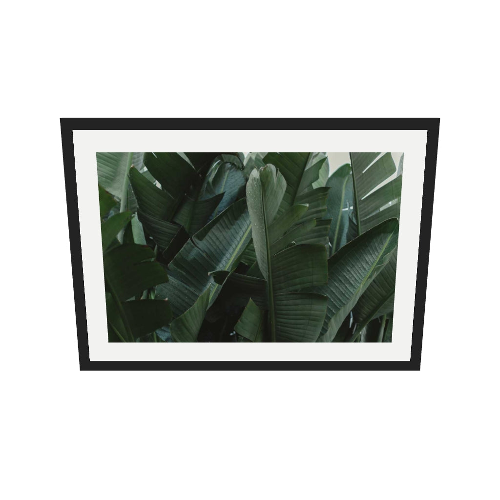 [ah-ar-v1:c89c58958836b796960616ec] Tropical Forest Wall Art Print — 50 x 70 cm, black frame (AR scale)