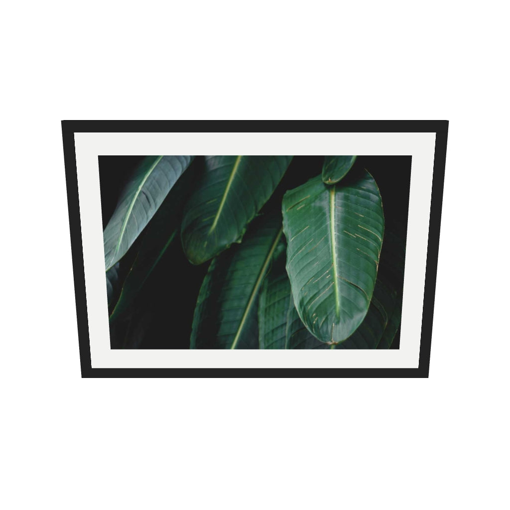 [ah-ar-v1:a53f032cedc4a58f053239a4] Tropical Forest II Wall Art Print — 50 x 70 cm, black frame (AR scale)