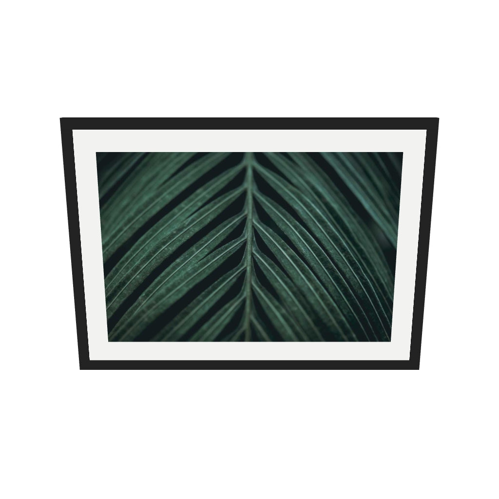 [ah-ar-v1:657276d1ada6a6c93791284e] Tropical Leaf Wall Art Print — 50 x 70 cm, black frame (AR scale)