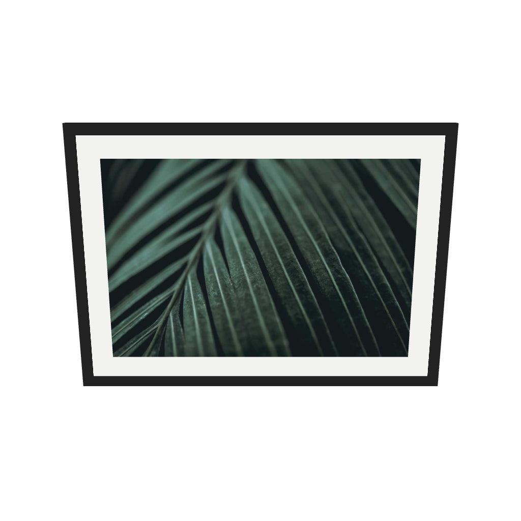 [ah-ar-v1:aca9dfaeb2354b8a064ac264] Delicate Leaf Wall Art Print — 50 x 70 cm, black frame (AR scale)