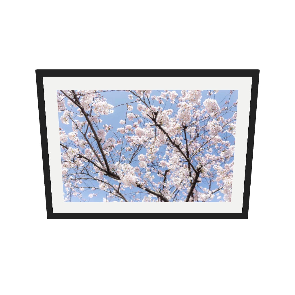 [ah-ar-v1:96dada4835dfea38409998e2] Blossoms Wall Art Print — 50 x 70 cm, black frame (AR scale)