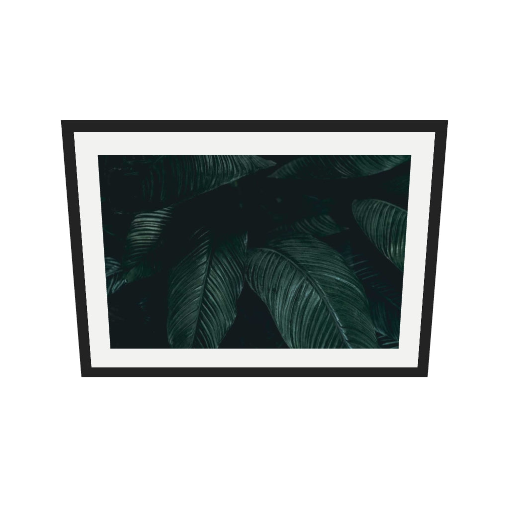 [ah-ar-v1:7c63ca9bbcace75d809e8c18] Tropical Leaf II Wall Art Print — 50 x 70 cm, black frame (AR scale)