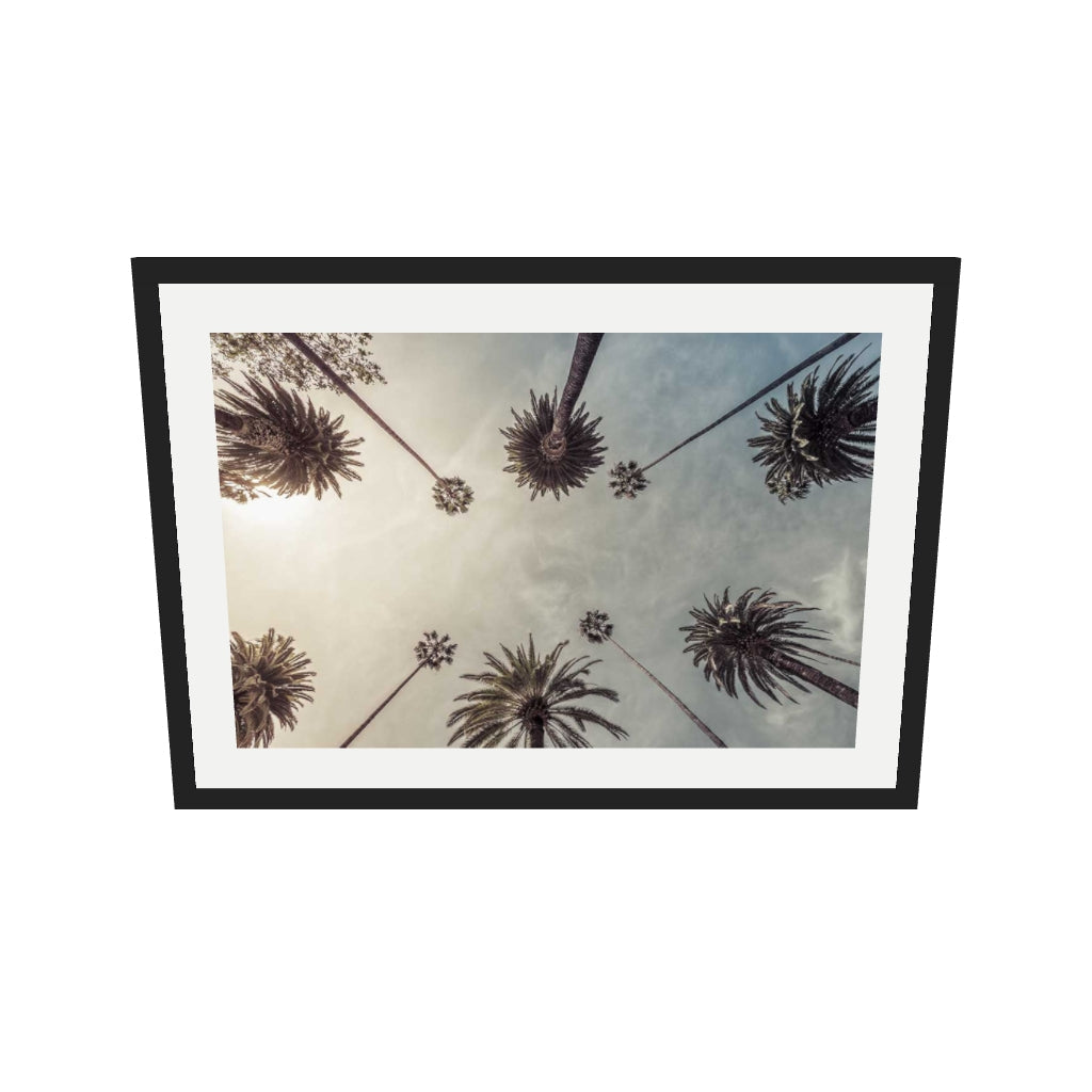 [ah-ar-v1:210adb2a4053f175b790a49f] Palm Tree View Wall Art Print — 50 x 70 cm, black frame (AR scale)