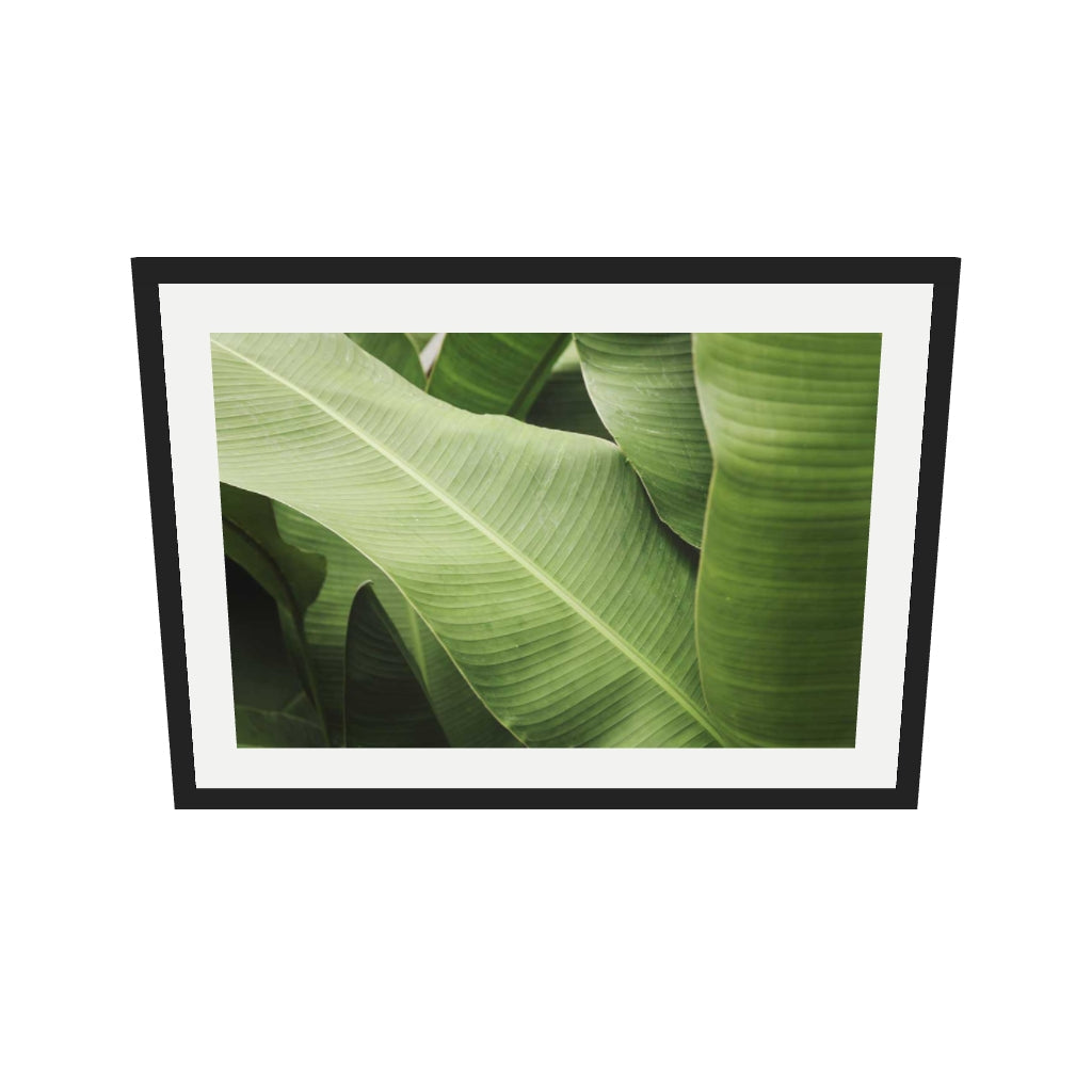 [ah-ar-v1:668349c872c479091be55c2e] Green Botanical Wall Art Print — 50 x 70 cm, black frame (AR scale)