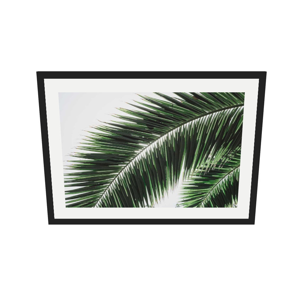 [ah-ar-v1:86e48ef55deedd85a06b8c57] Botanical Palm Wall Art Print — 50 x 70 cm, black frame (AR scale)