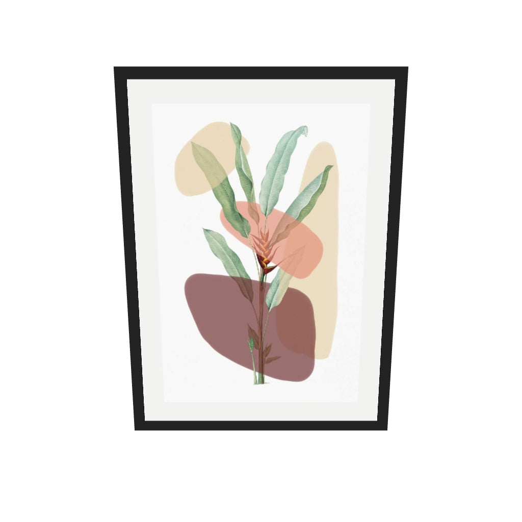[ah-ar-v1:e9392adfe504e57e293fa931] Botanical Illustration With Shapes Art Print — 50 x 70 cm, black frame (AR scale)