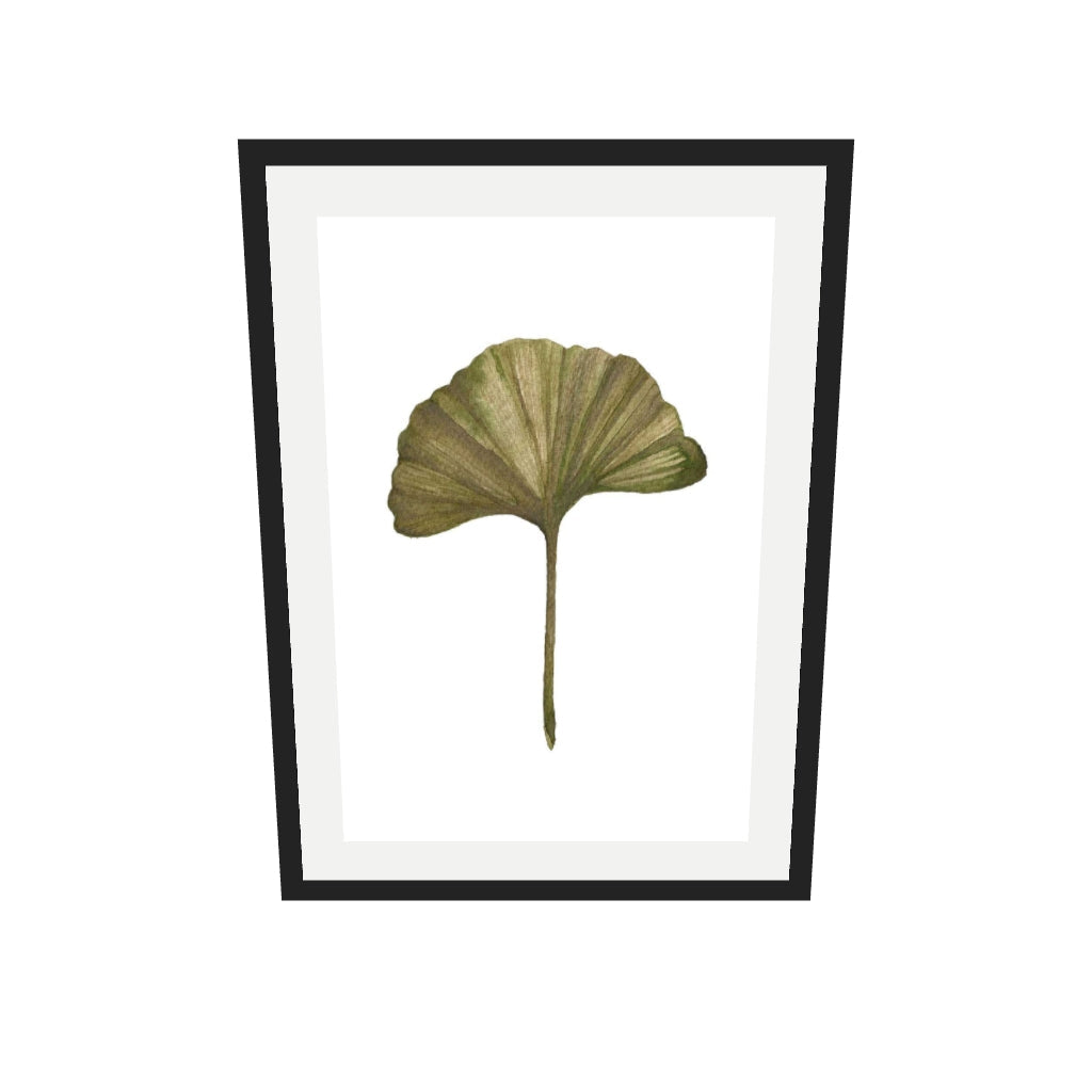 [ah-ar-v1:1b39d4380f2a56d9cb391780] Watercolour Ginkgo Leaf Art Print — 50 x 70 cm, black frame (AR scale)