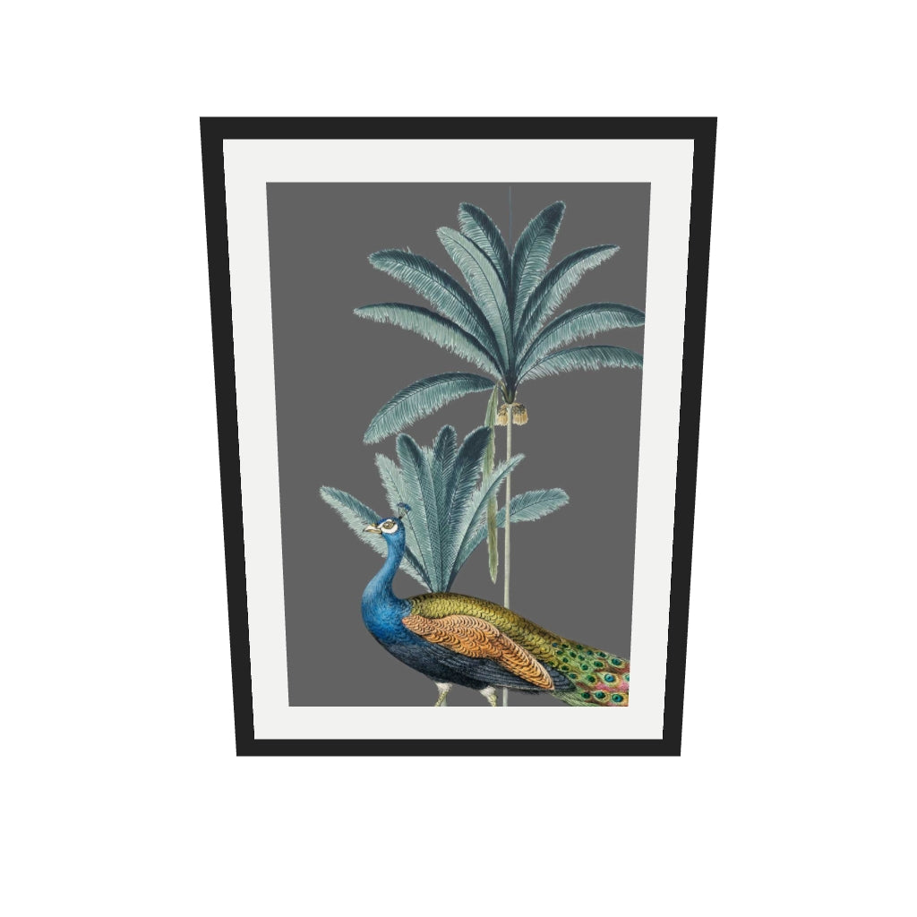 [ah-ar-v1:8bdab0e2cb095d9be9a05217] Tropical Jungle Peacock Grey Art Print — 50 x 70 cm, black frame (AR scale)