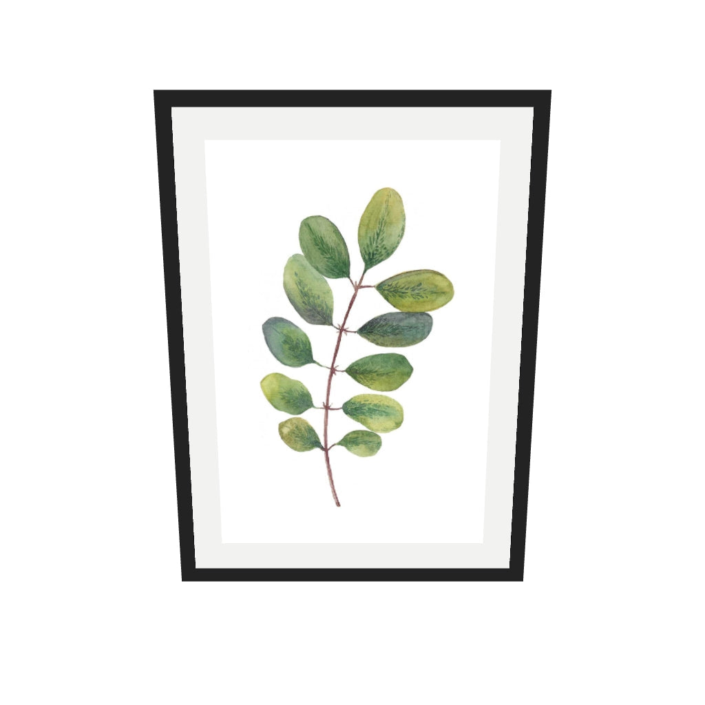 [ah-ar-v1:5b56479856c9a8f443114199] Acacia Watercolour Leaf Art Print — 50 x 70 cm, black frame (AR scale)