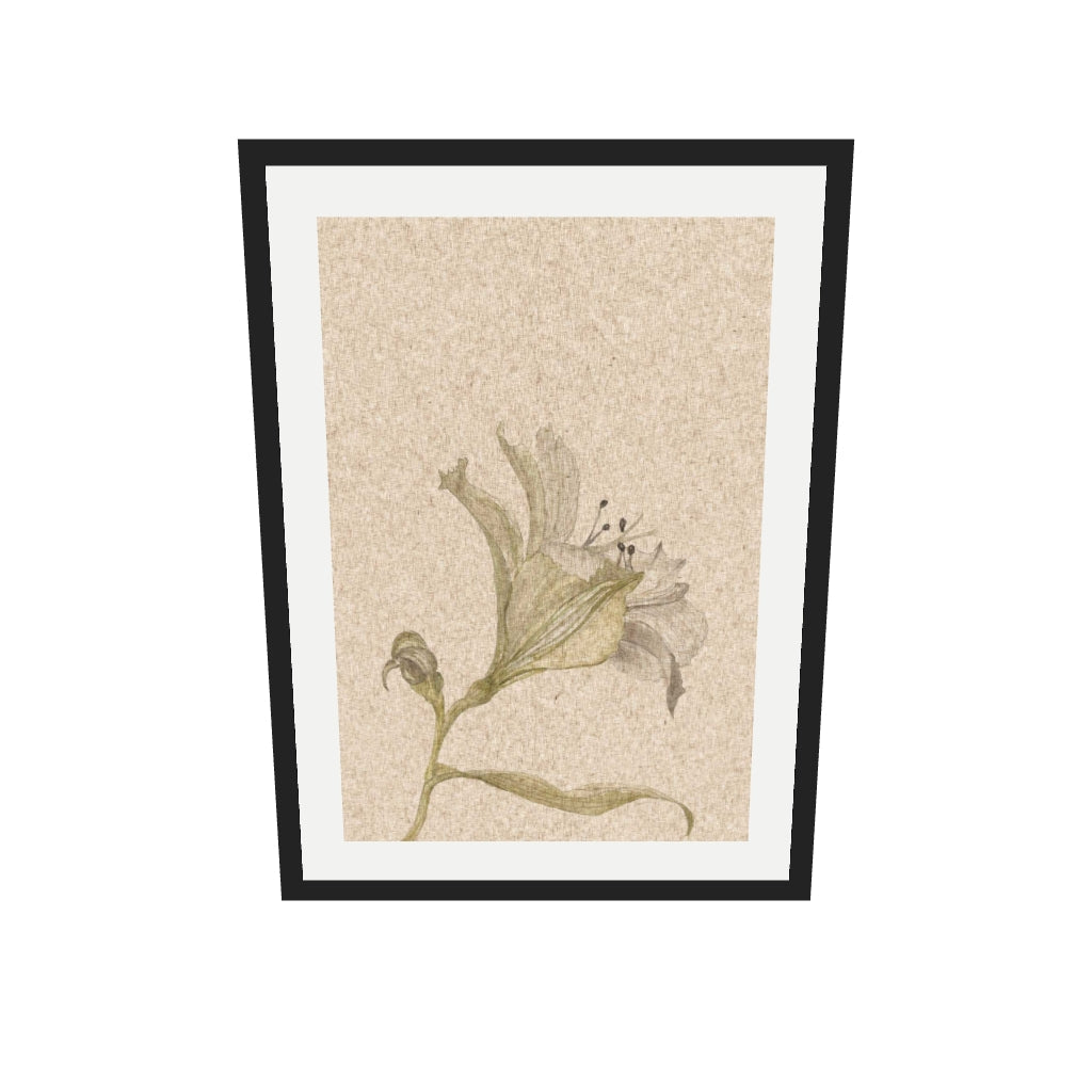[ah-ar-v1:31f3511b9f115fd1c9a76a46] Vintage Floral Stem Art Print — 50 x 70 cm, black frame (AR scale)