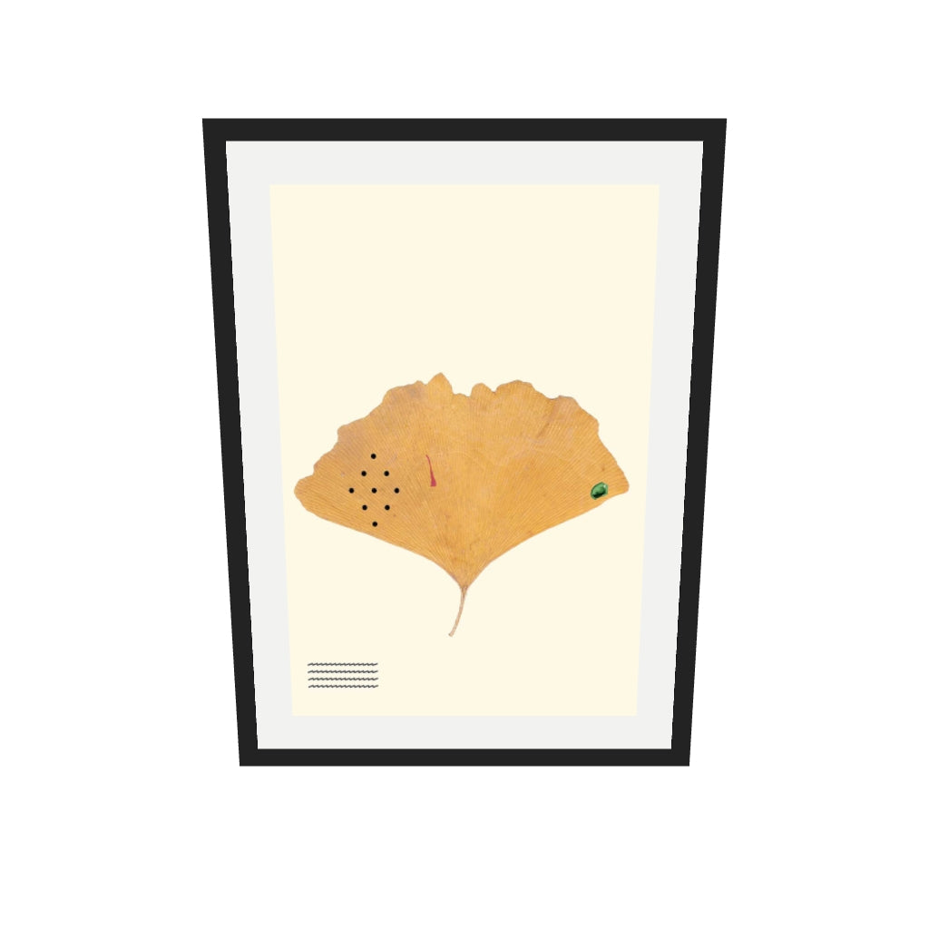 [ah-ar-v1:68798aafa8eb5d7ab950f47d] Organic Ginkgo Gold Leaf Art Print — 50 x 70 cm, black frame (AR scale)
