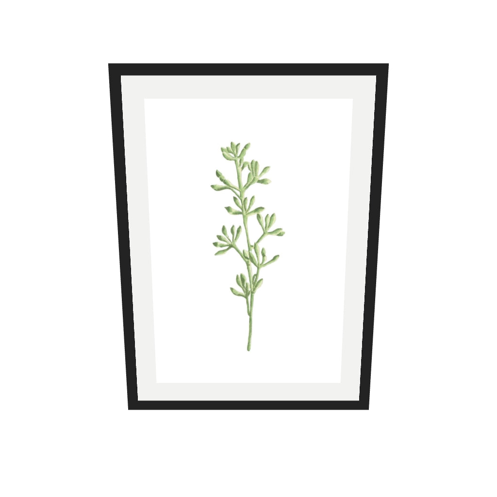 [ah-ar-v1:6301636cf40f9deb65eb61f6] Pale Green Stem Art Print — 50 x 70 cm, black frame (AR scale)