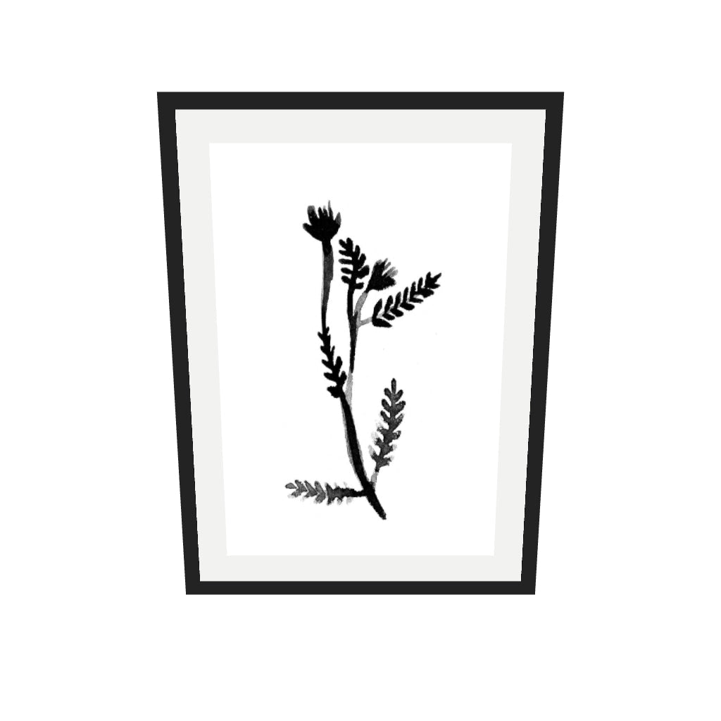[ah-ar-v1:427537e1a8c647767e841930] Black & White Botanical Watercolour Art Print — 50 x 70 cm, black frame (AR scale)
