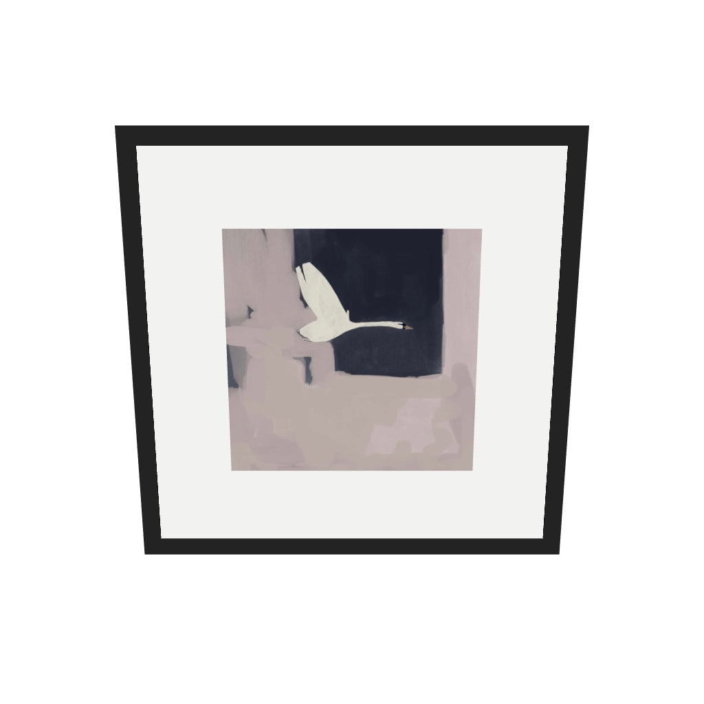 [ah-ar-v1:5ce01304e28934600f8f4c1d] Swan In Flight Art Print — 50 x 50 cm, black frame (AR scale)