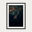 Red Deer Stag In Winter Art Print — 50 x 70 cm — Black Frame
