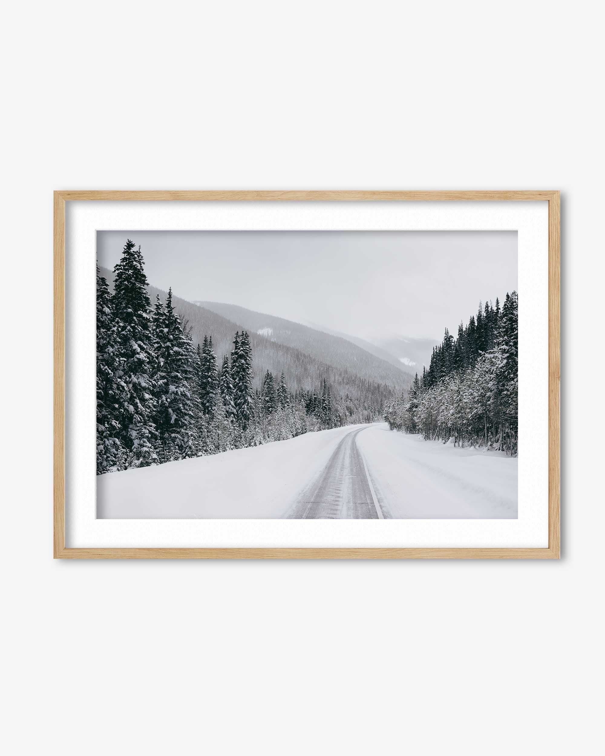 Snowy Forest Art Print
