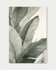 Botanical Illustration Wall Art Print