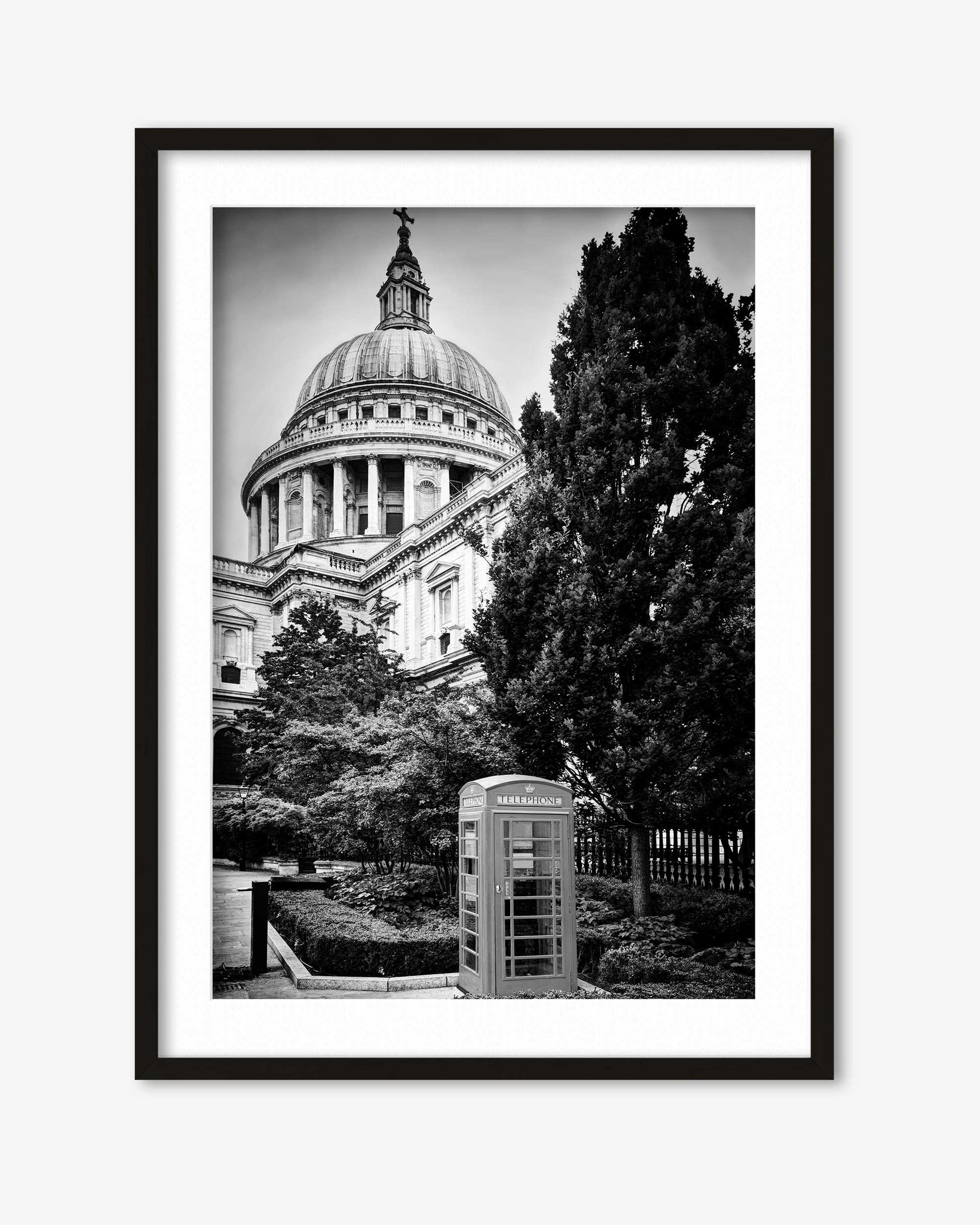 Framed black and white photograph of a large building with a dome and trees in the foreground.