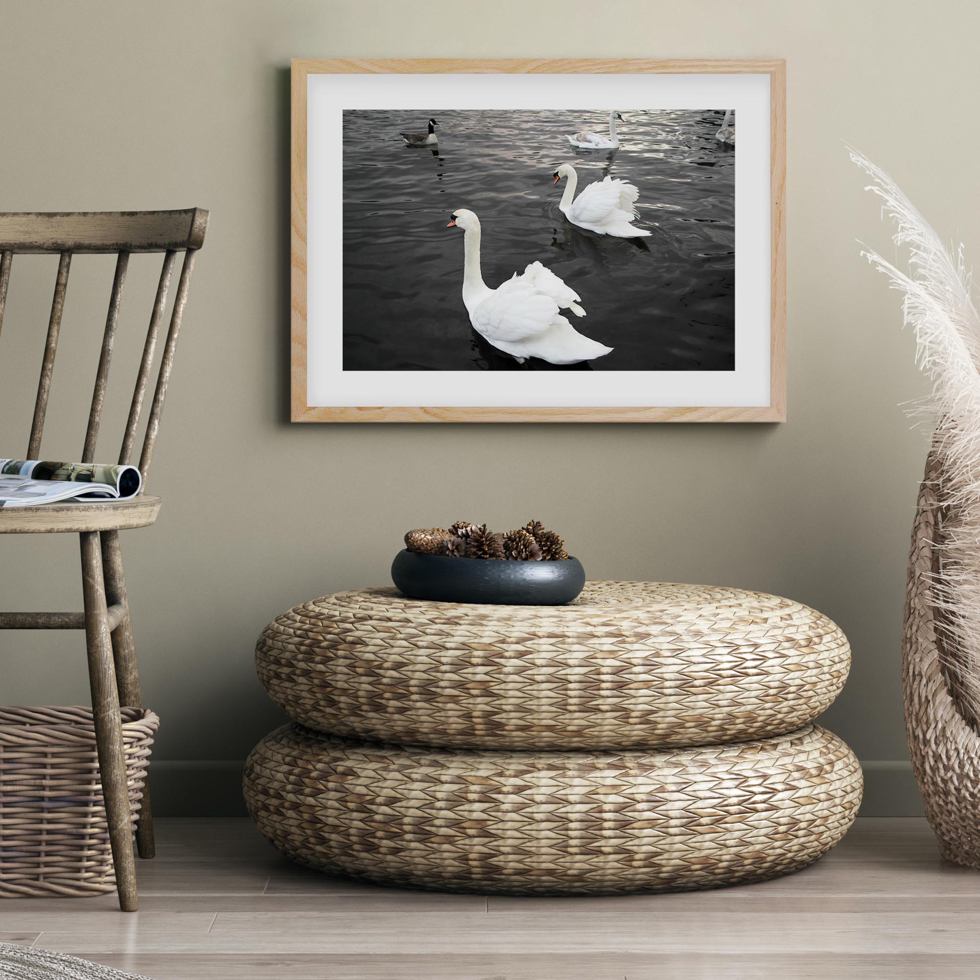 The Swan Lake Framed Art