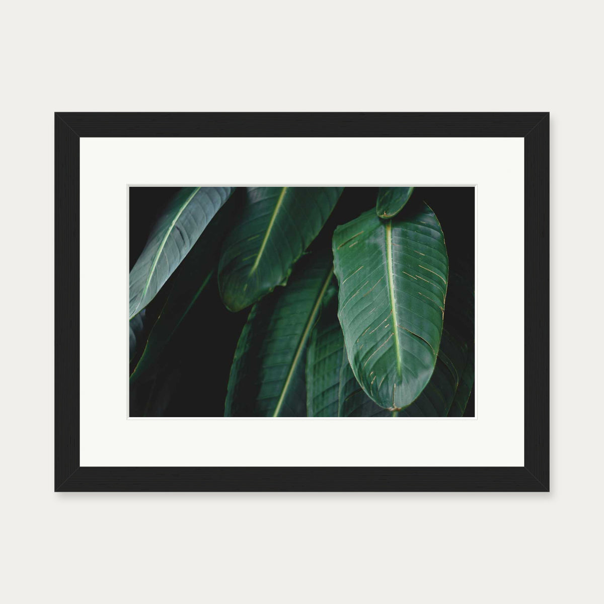 Tropical Forest II Wall Art Print — 30 x 40 cm — Black Frame
