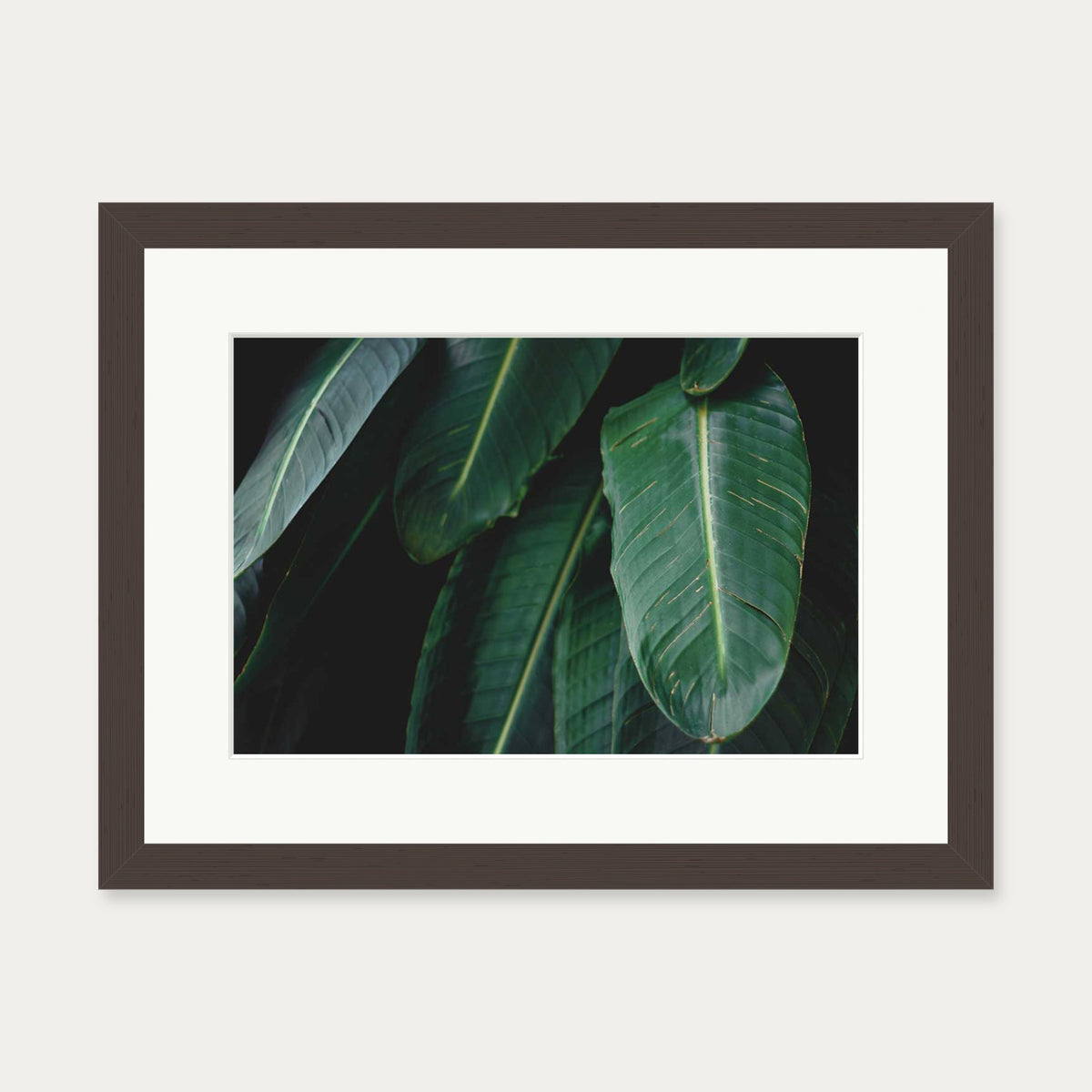 Tropical Forest II Wall Art Print — 30 x 40 cm — Brown Frame