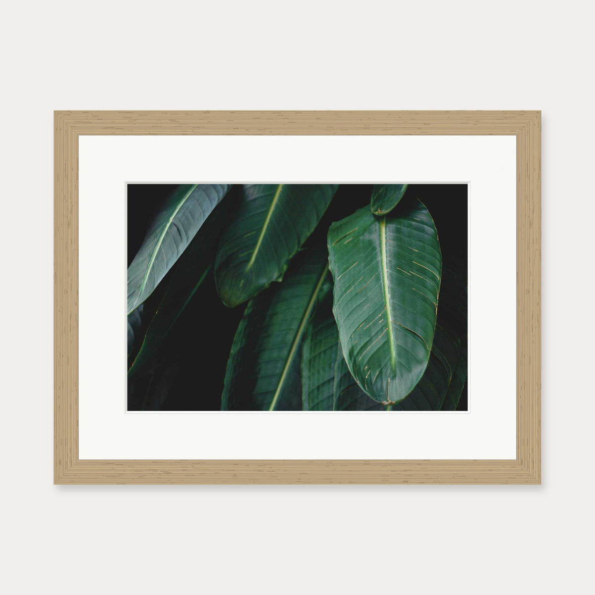 Tropical Forest II Wall Art Print — 30 x 40 cm — Oak Frame