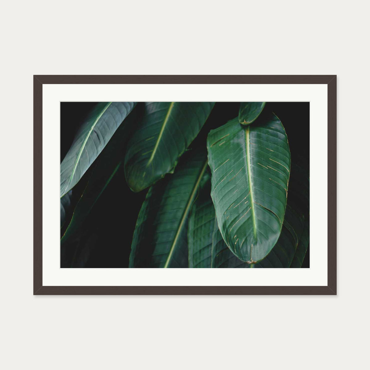 Tropical Forest II Wall Art Print — 50 x 70 cm — Brown Frame