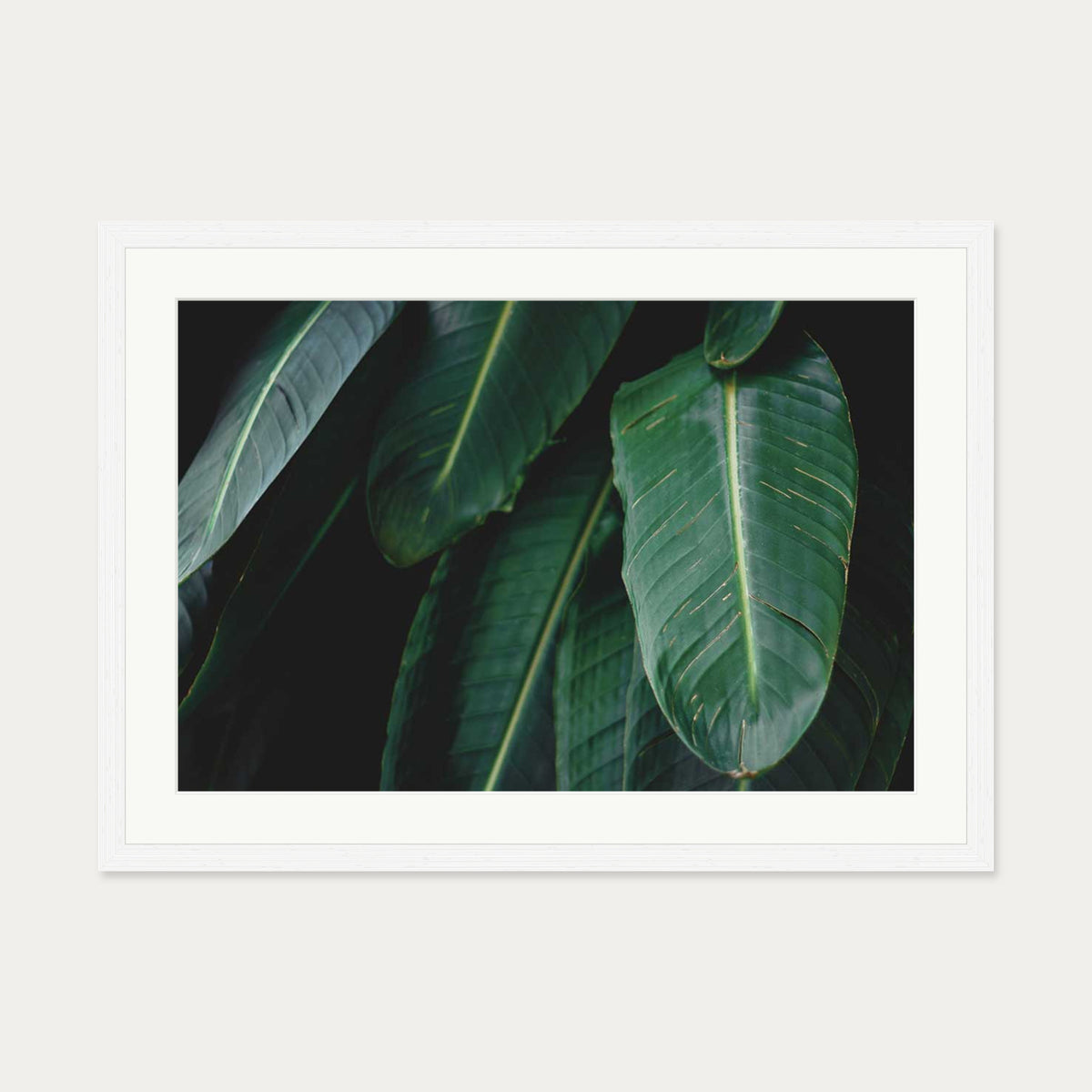 Tropical Forest II Wall Art Print — 50 x 70 cm — White Frame