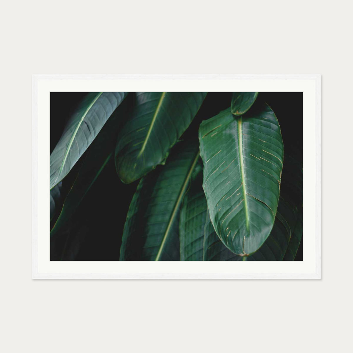Tropical Forest II Wall Art Print — 70 x 100 cm — White Frame