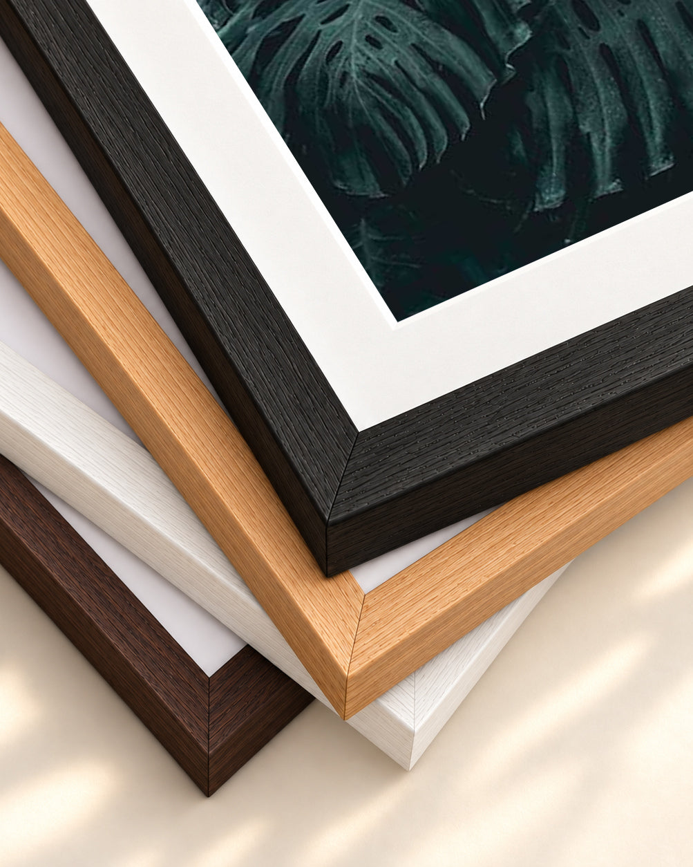 Tropical Forest III Wall Art Print — framed print corner with 5 cm mount and bevel