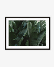 Tropical Forest Wall Art Print