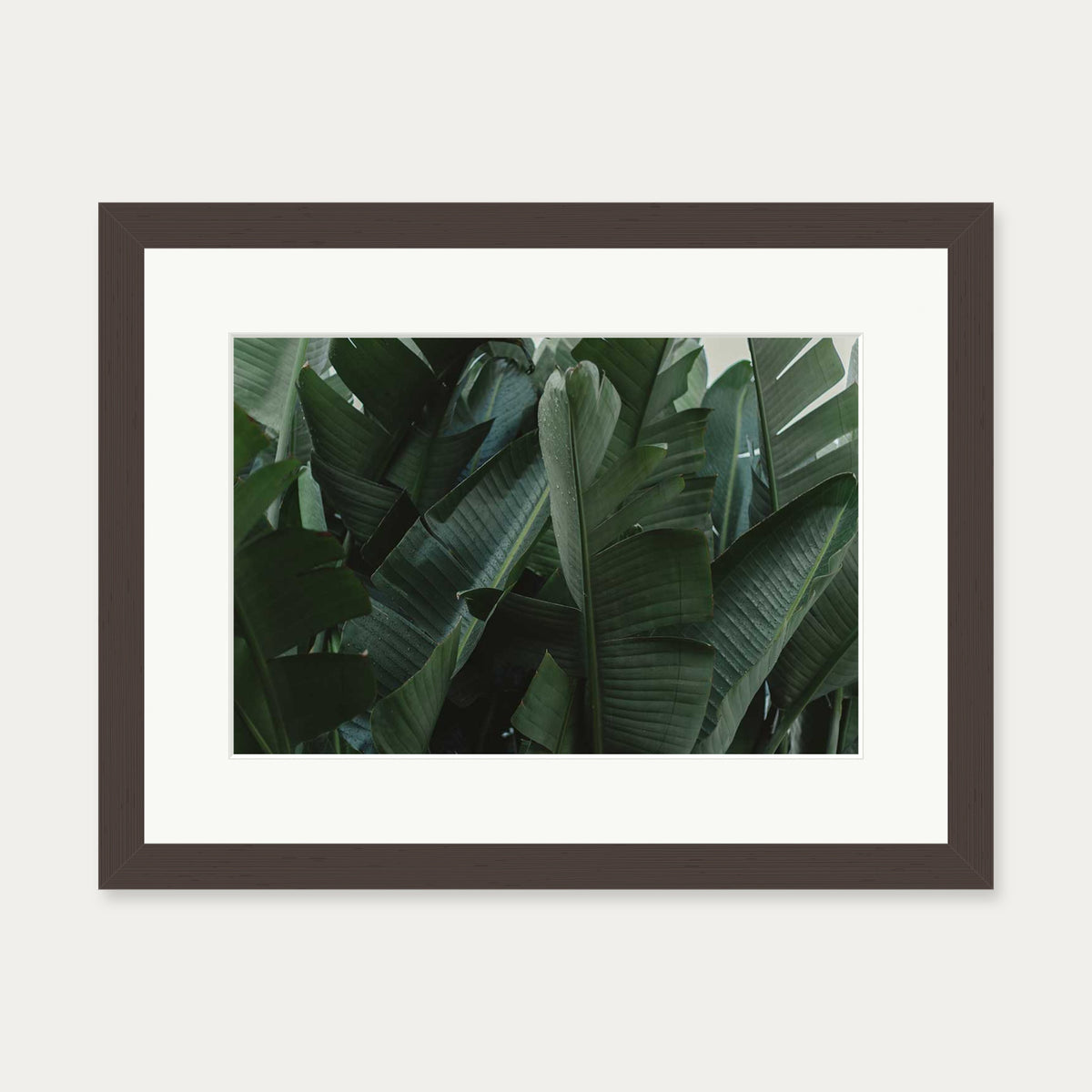 Tropical Forest Wall Art Print — 30 x 40 cm — Brown Frame