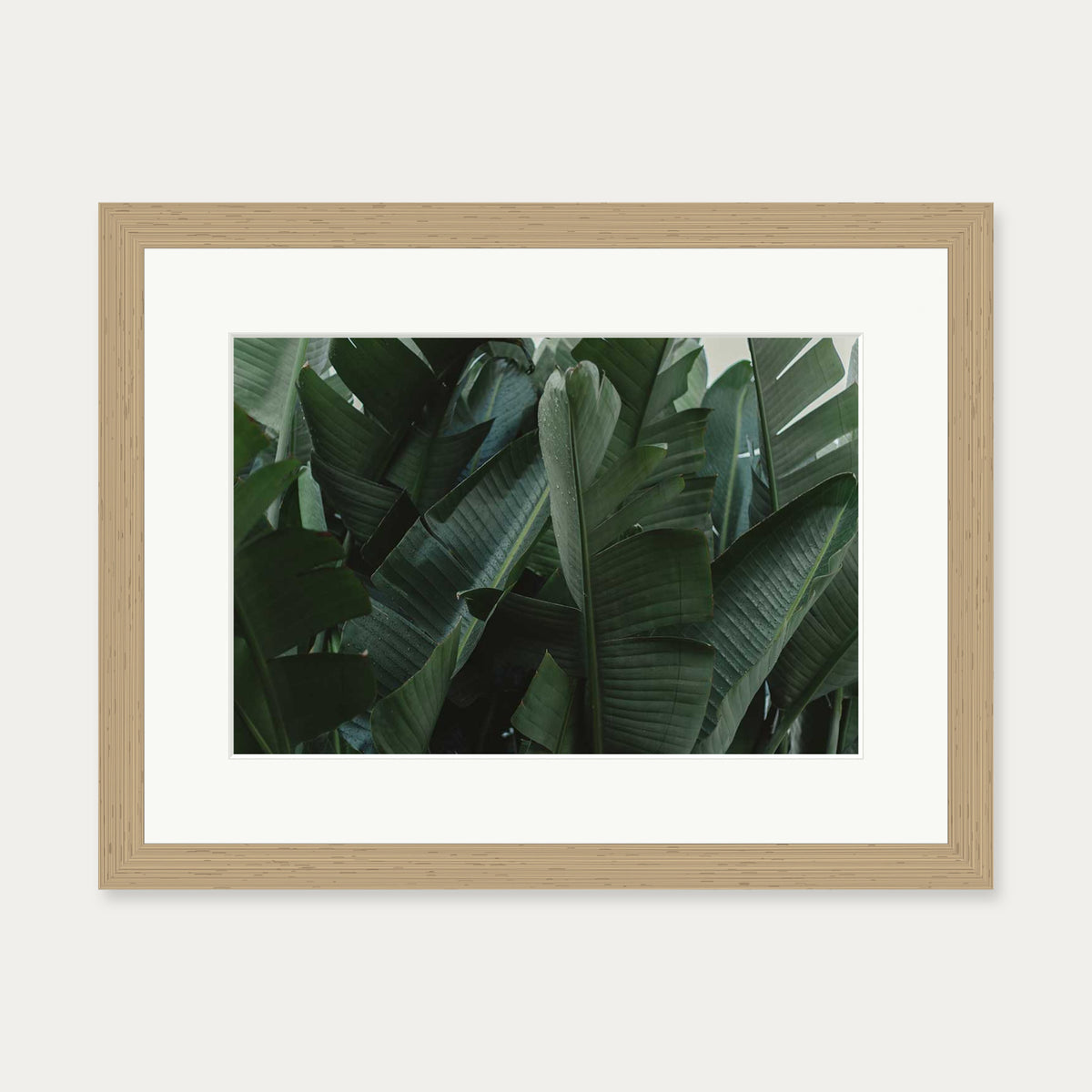 Tropical Forest Wall Art Print — 30 x 40 cm — Oak Frame