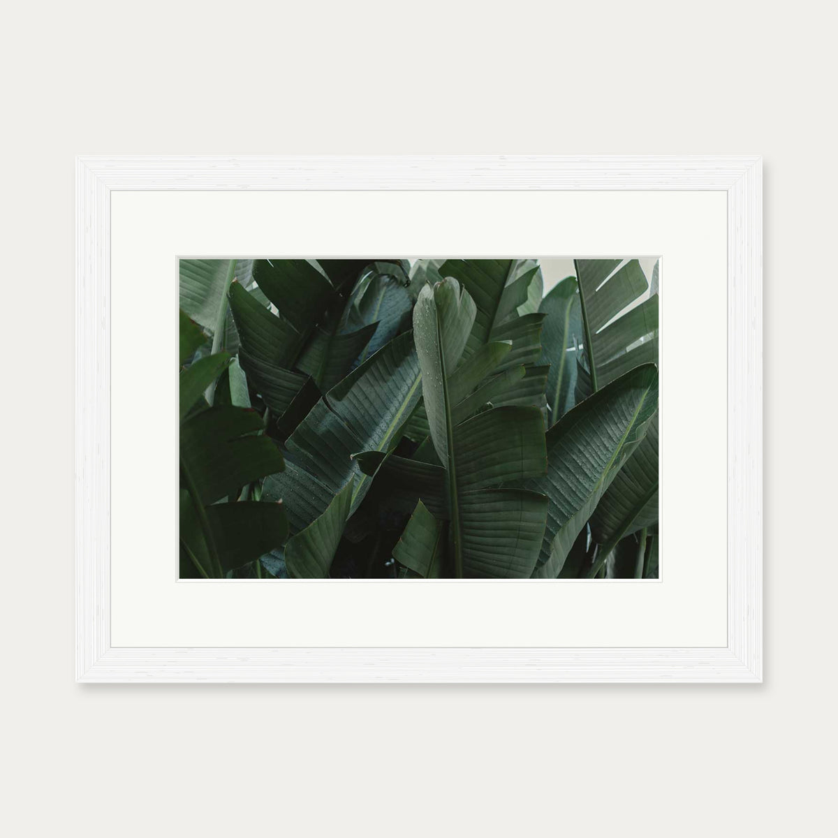 Tropical Forest Wall Art Print — 30 x 40 cm — White Frame