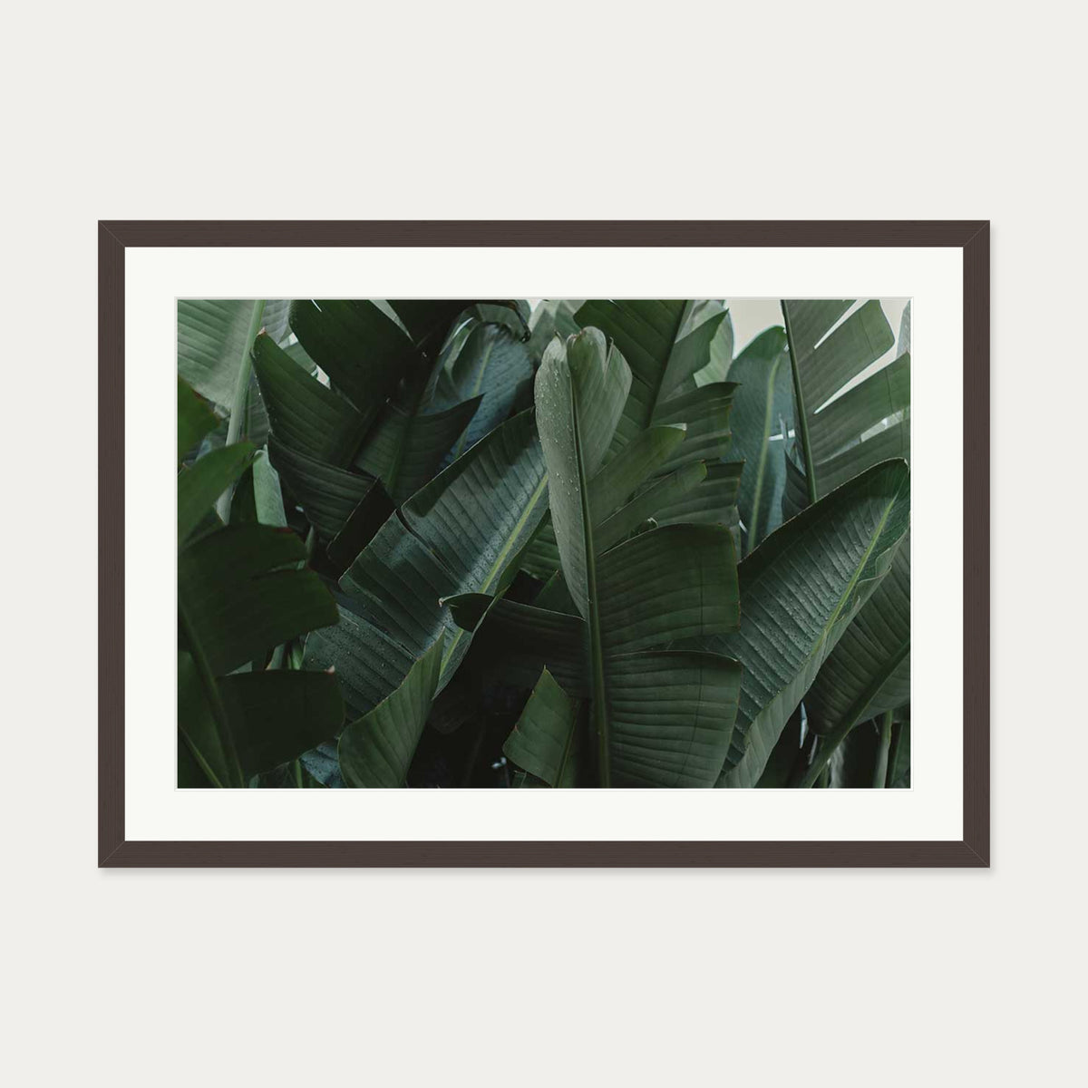Tropical Forest Wall Art Print — 50 x 70 cm — Brown Frame
