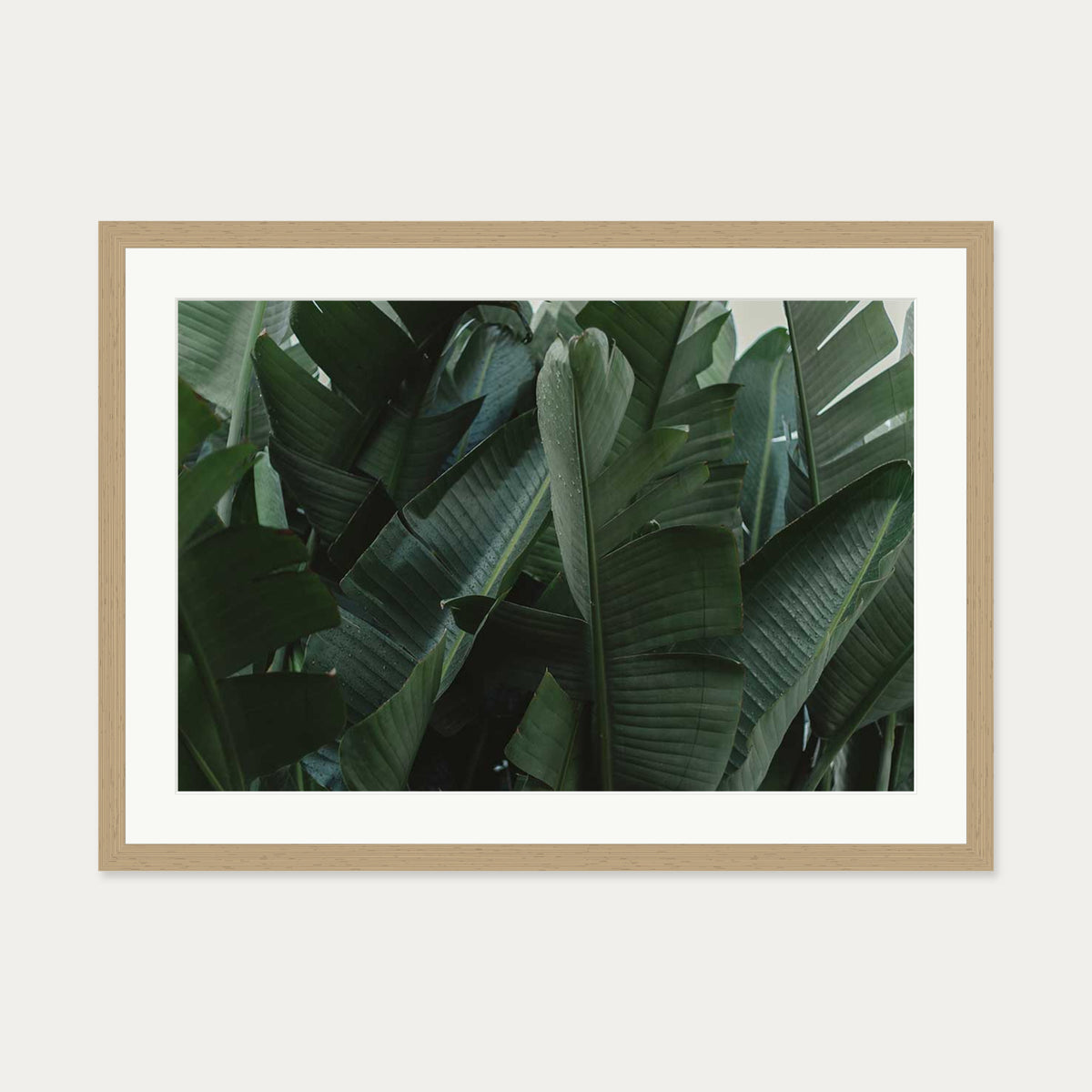 Tropical Forest Wall Art Print — 50 x 70 cm — Oak Frame