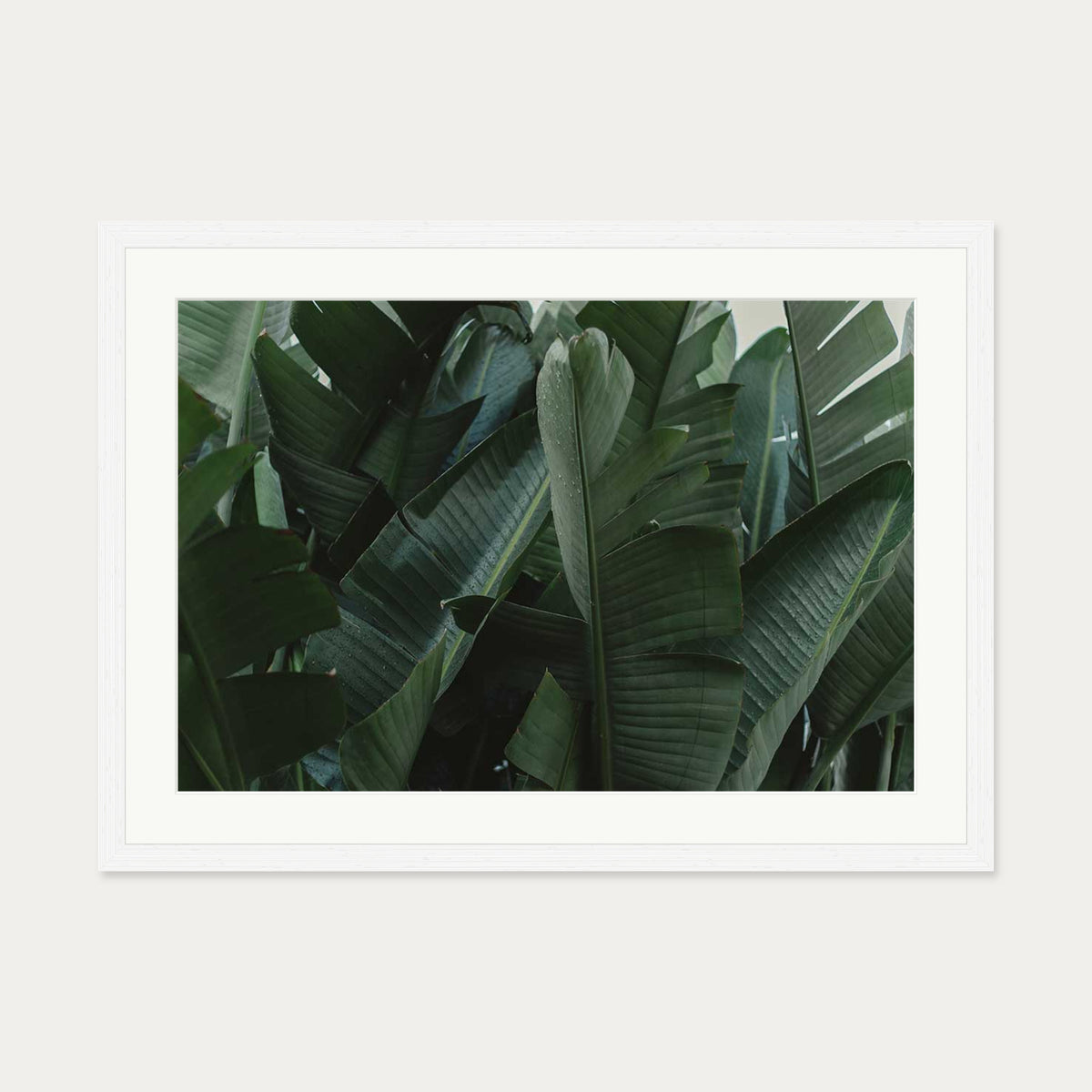 Tropical Forest Wall Art Print — 50 x 70 cm — White Frame