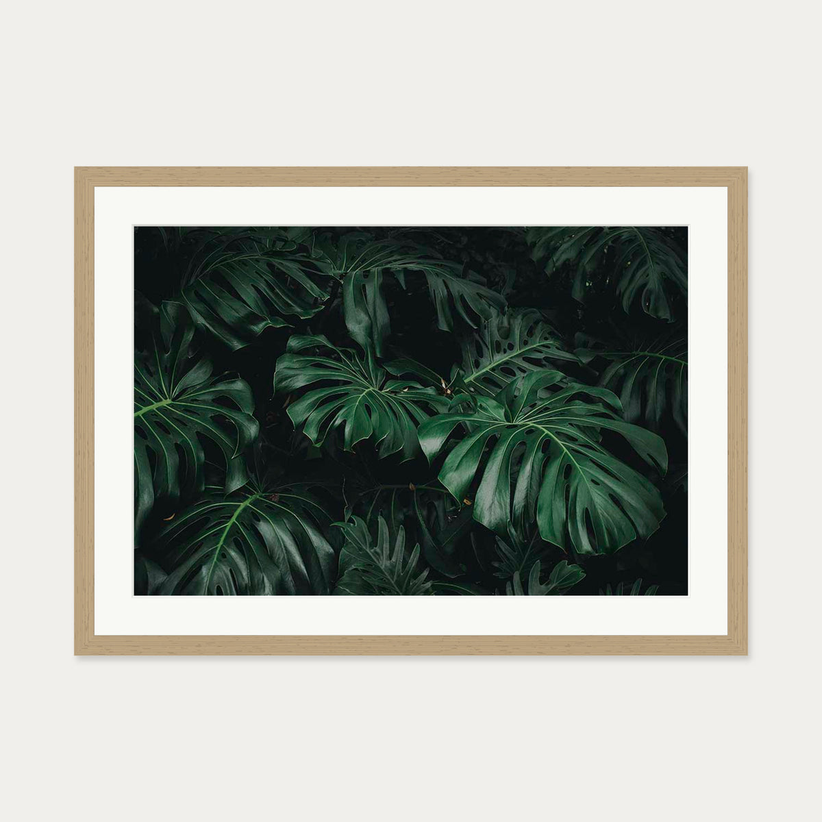 Tropical Green Leaves Art Print — 50 x 70 cm — Oak Frame