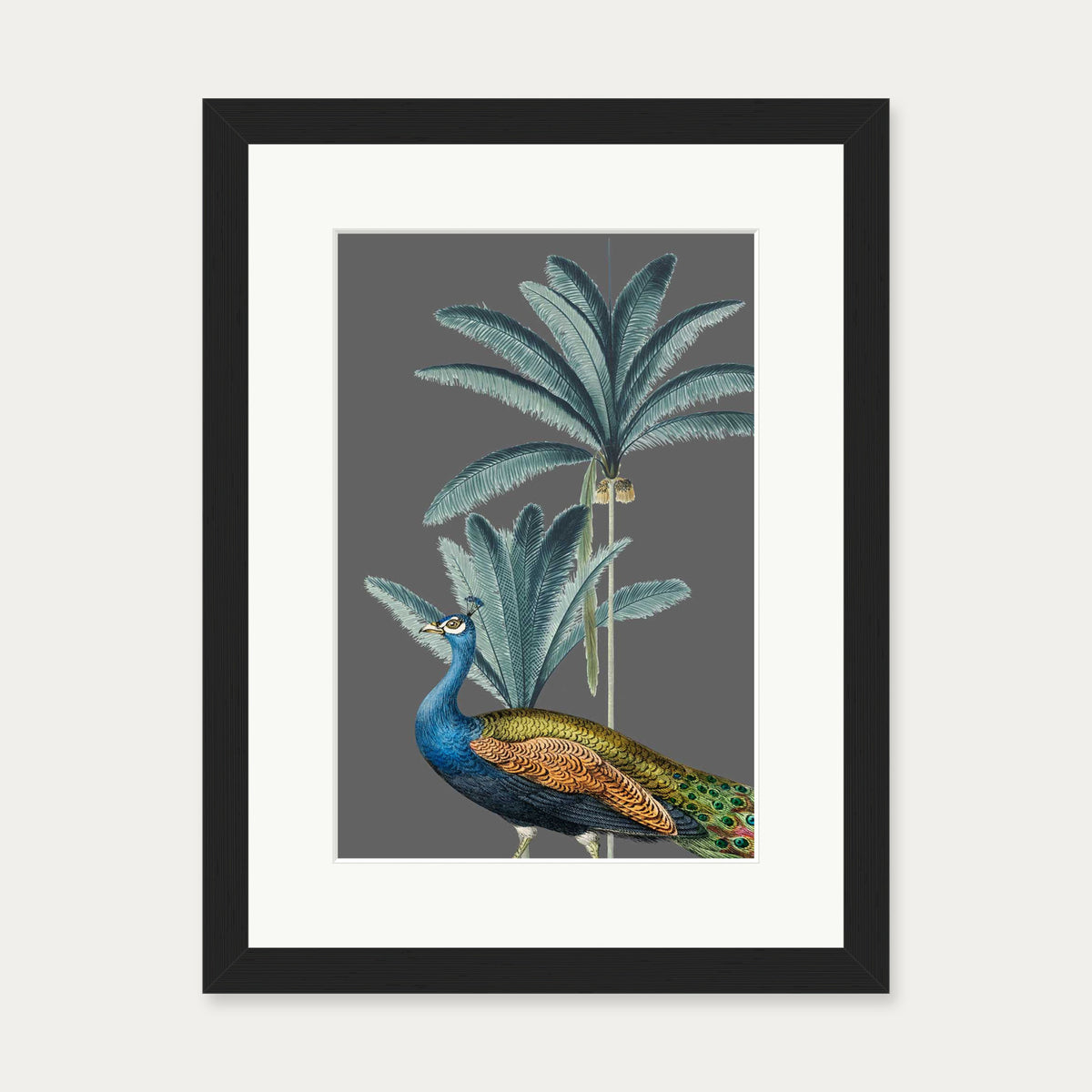 Tropical Jungle Peacock Grey Art Print — 30 x 40 cm — Black Frame