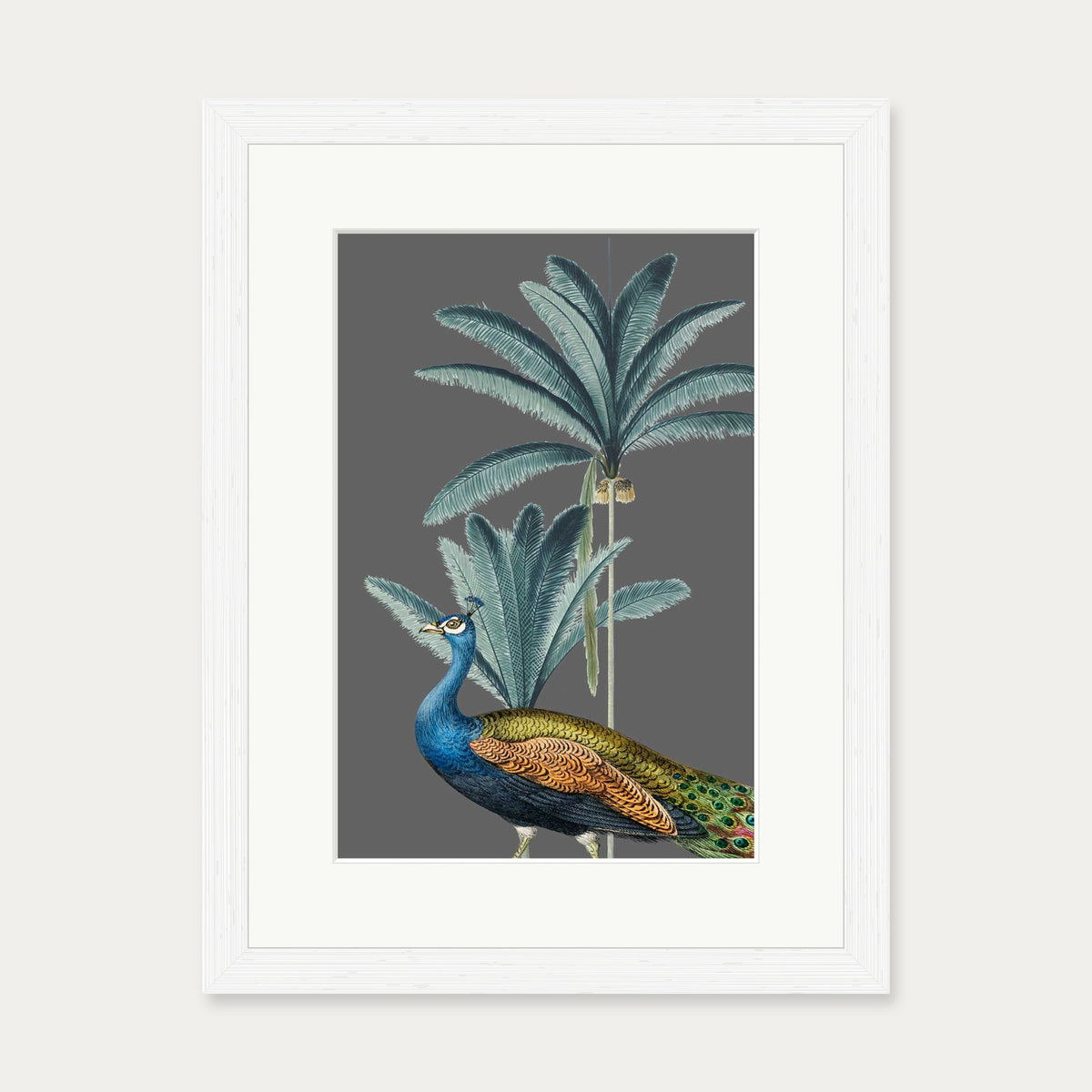 Tropical Jungle Peacock Grey Art Print — 30 x 40 cm — White Frame