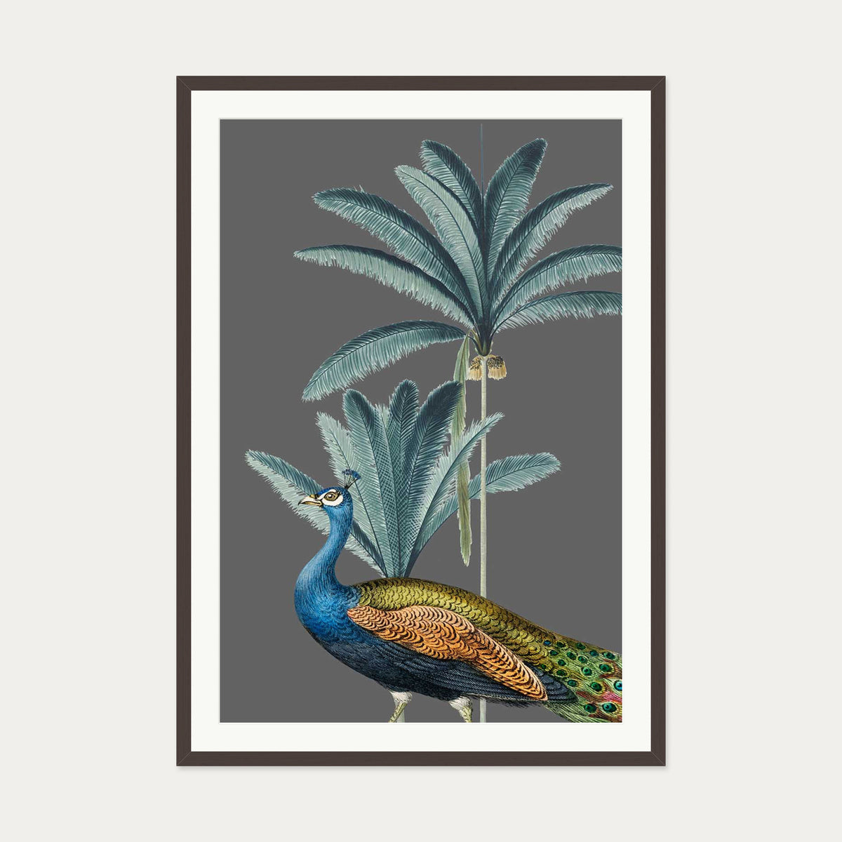 Tropical Jungle Peacock Grey Art Print — 70 x 100 cm — Brown Frame