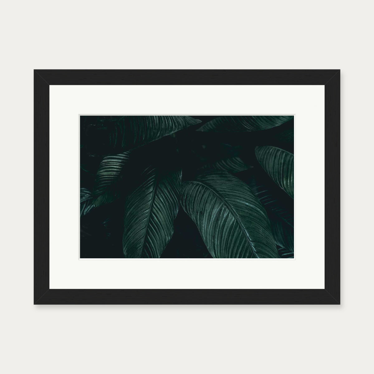 Tropical Leaf II Wall Art Print — 30 x 40 cm — Black Frame